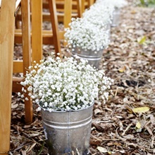 Flowers in metal buckets