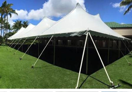 60x130 White Century Tent 60x130 White Century Tent