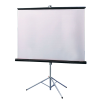 Movie Screen, 50" or 70"