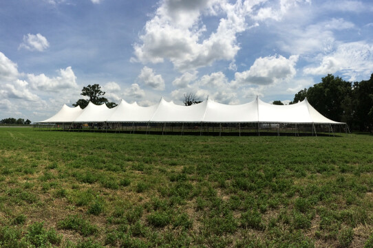 60x220 Wedding Tent