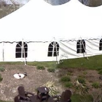 Large Pole Tent Rental Elm Grove