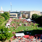 Badgerville Badger Football 3