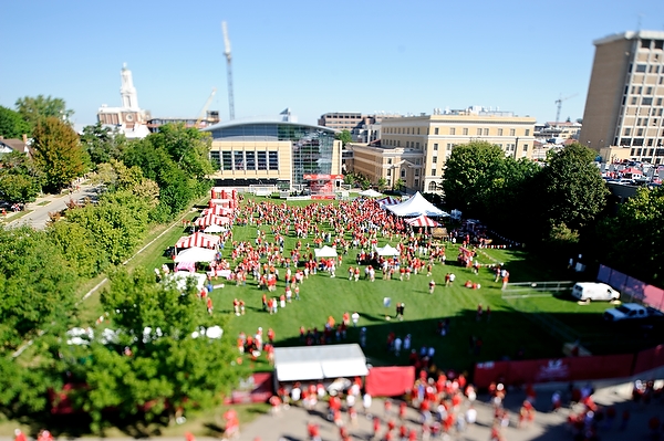 Badgerville Badger Football 3