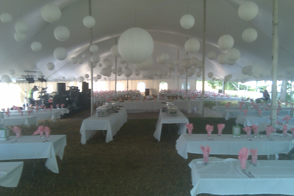 Save your wedding budget for the honeymoon--contact Madison party rental! Wisconsin Dells wedding supply rental company